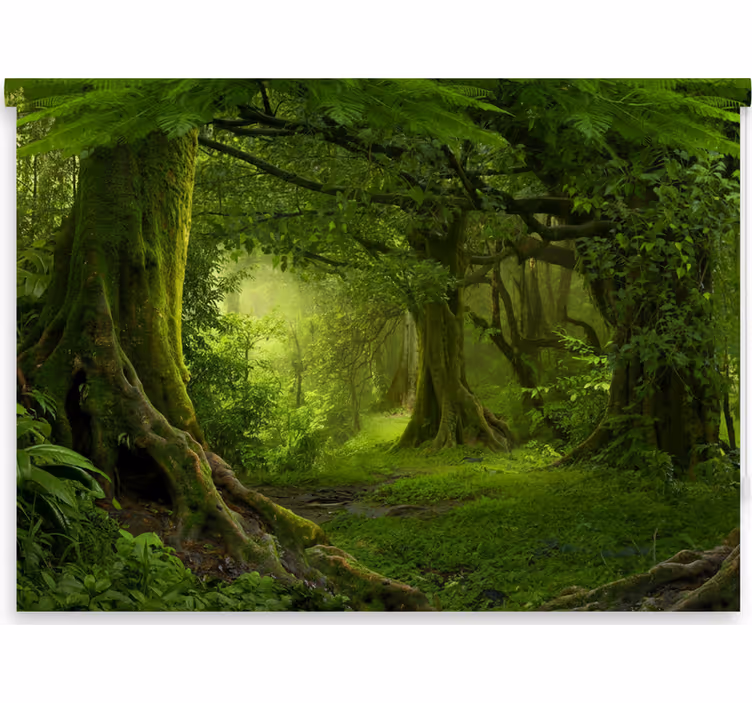 Store enrouleur arbre Évasion en forêt luxuriante - TenStickers