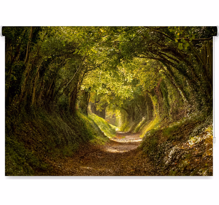 Store enrouleur arbre forêt immersive - TenStickers