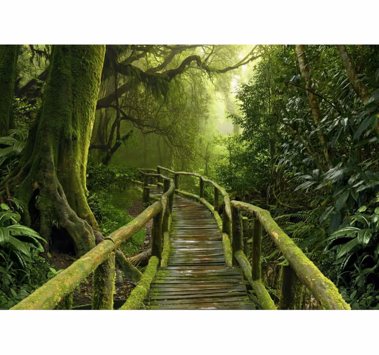 Store enrouleur arbre chemin de planches luxuriant - TenStickers