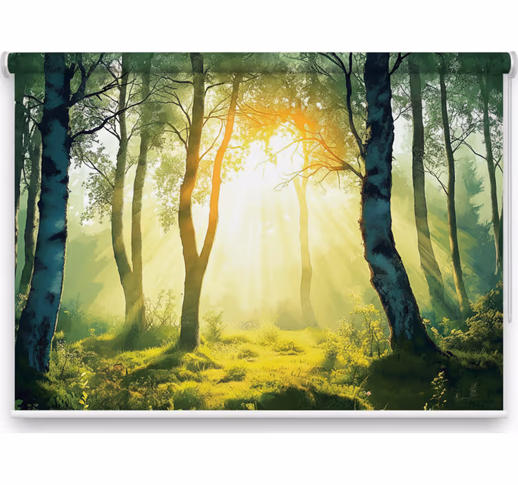 Store enrouleur arbre bouleau baigné de soleil - TenStickers