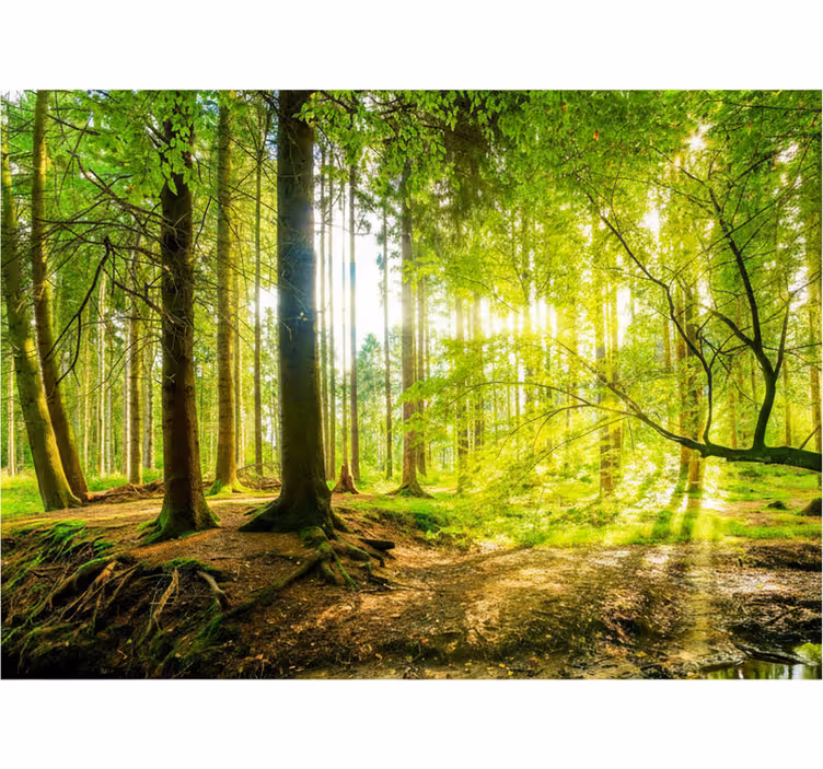 Store enrouleur arbre vallée montagne verdoyante - TenStickers