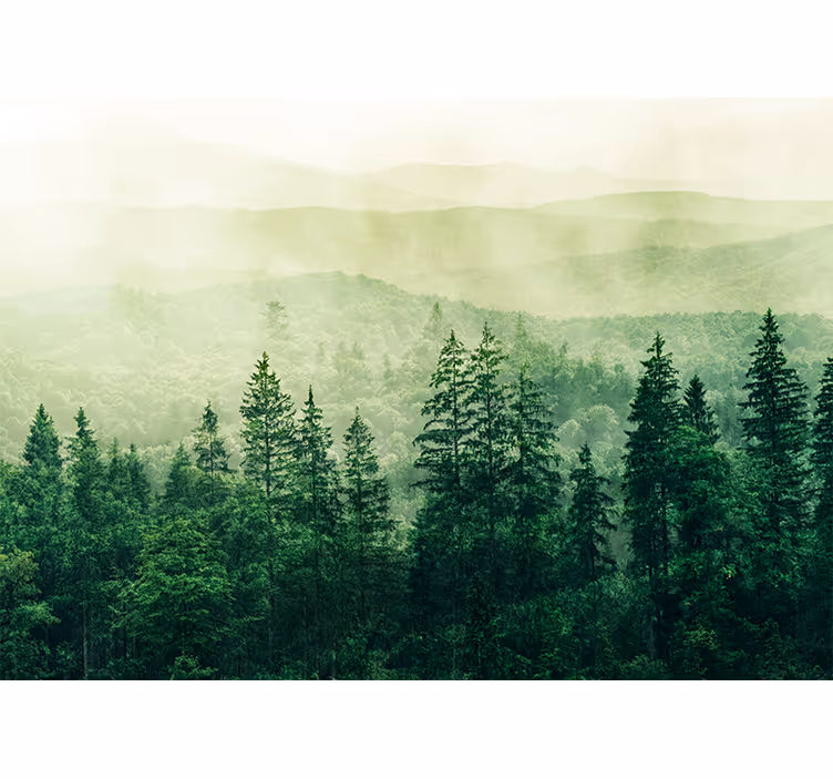 Store enrouleur cuisine cimes de la forêt verte - TenStickers