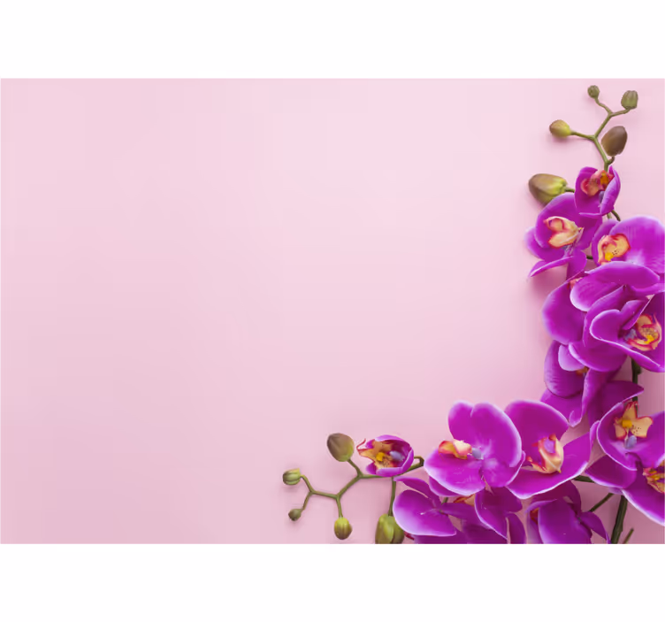 Store enrouleur cuisine fond rose avec orchidée - TenStickers