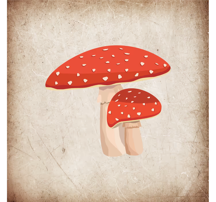 Store enrouleur cuisine illustration champignon amanite - TenStickers