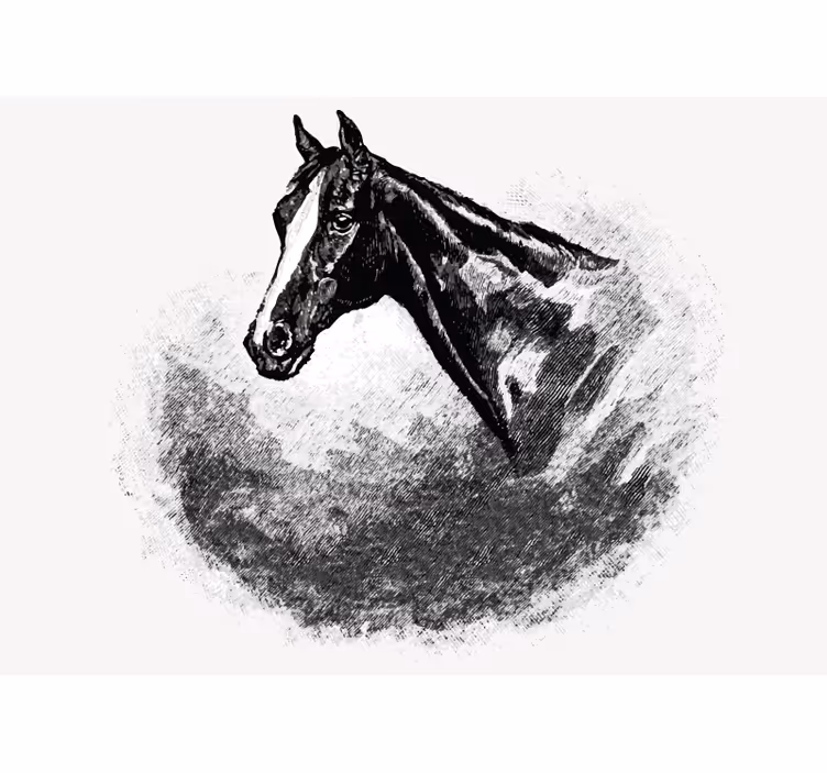 Store enrouleur blanc chevaux graphite - TenStickers