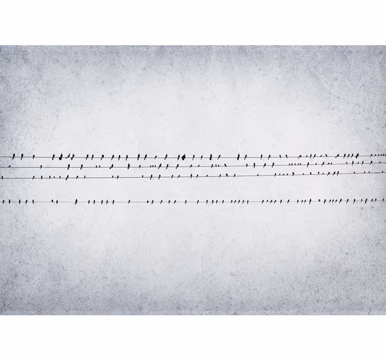 Store enrouleur blanc concert d'oiseaux sur fils - TenStickers