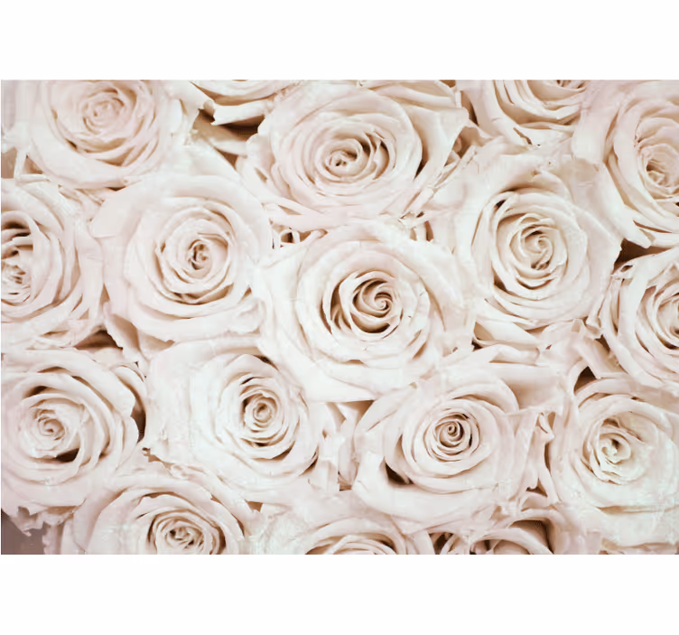 Store enrouleur blanc design floral rose élégant - TenStickers