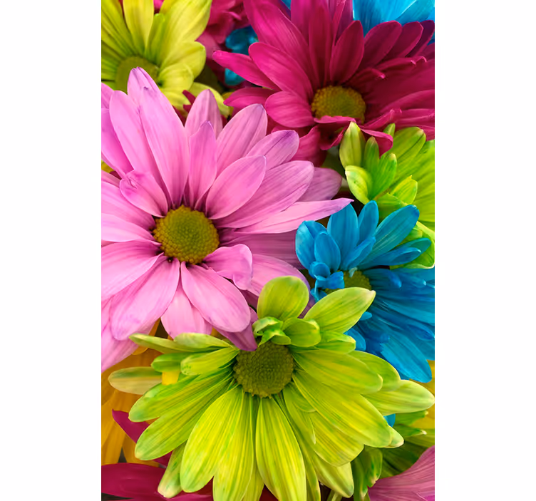 Store enrouleur bureau fleurs colorées - TenStickers