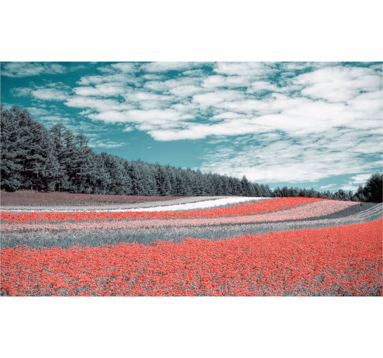Store enrouleur bureau champ de fleurs variées - TenStickers