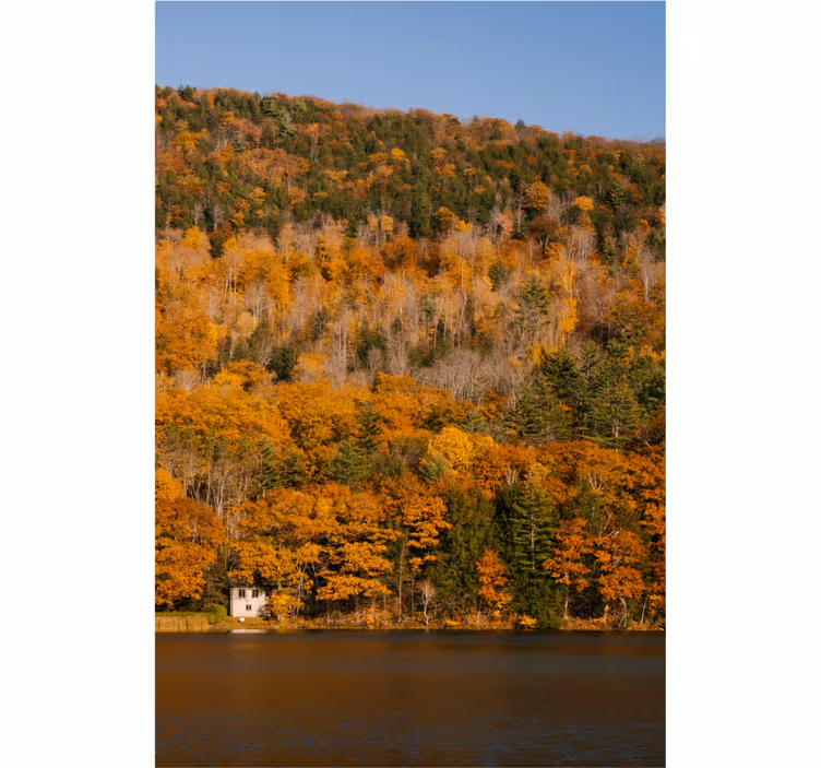 Store enrouleur bureau lac et arbres dorés - TenStickers