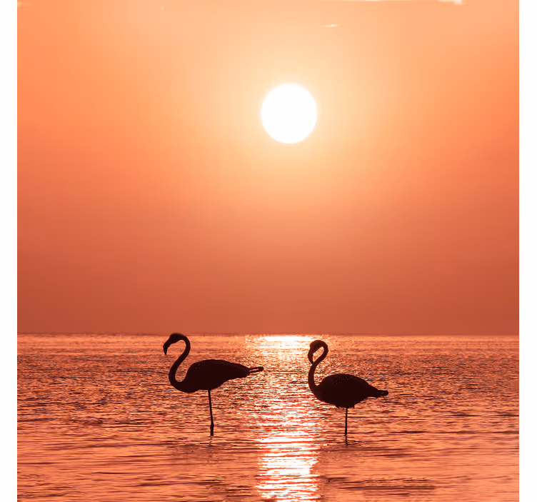 Store enrouleur bureau flamant rose au coucher de soleil - TenStickers