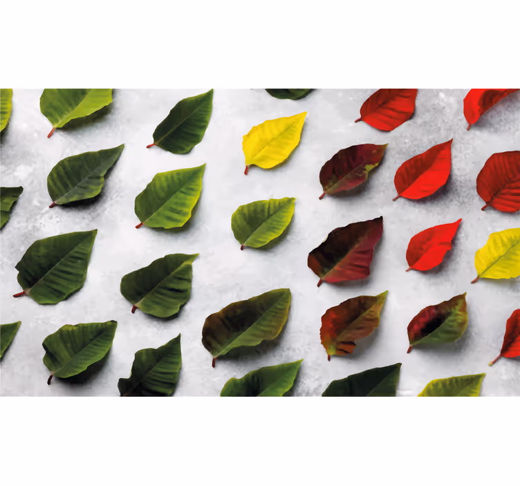 Store enrouleur bureau feuilles colorées vue du dessus - TenStickers