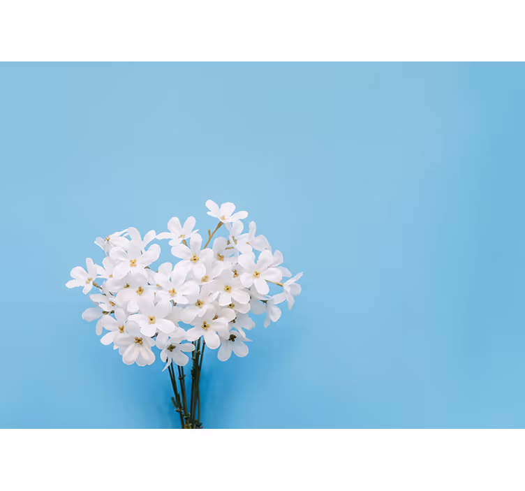 Store enrouleur bleu fond jazmin bleu - TenStickers