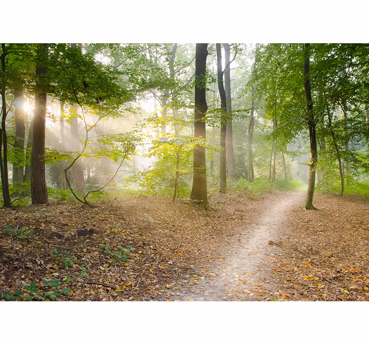 Store enrouleur bureau chemin forestier serein - TenStickers