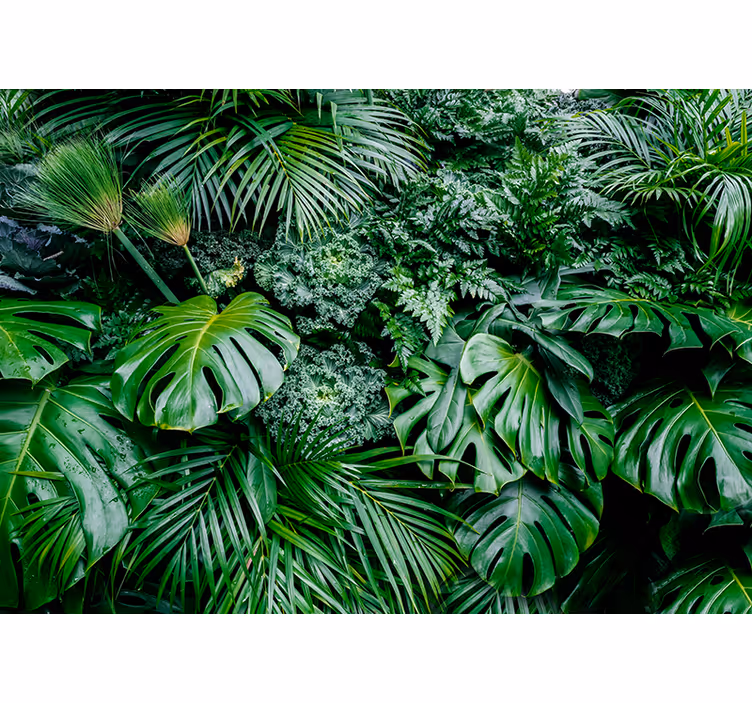 Store enrouleur vert jungle pluvieuse - TenStickers