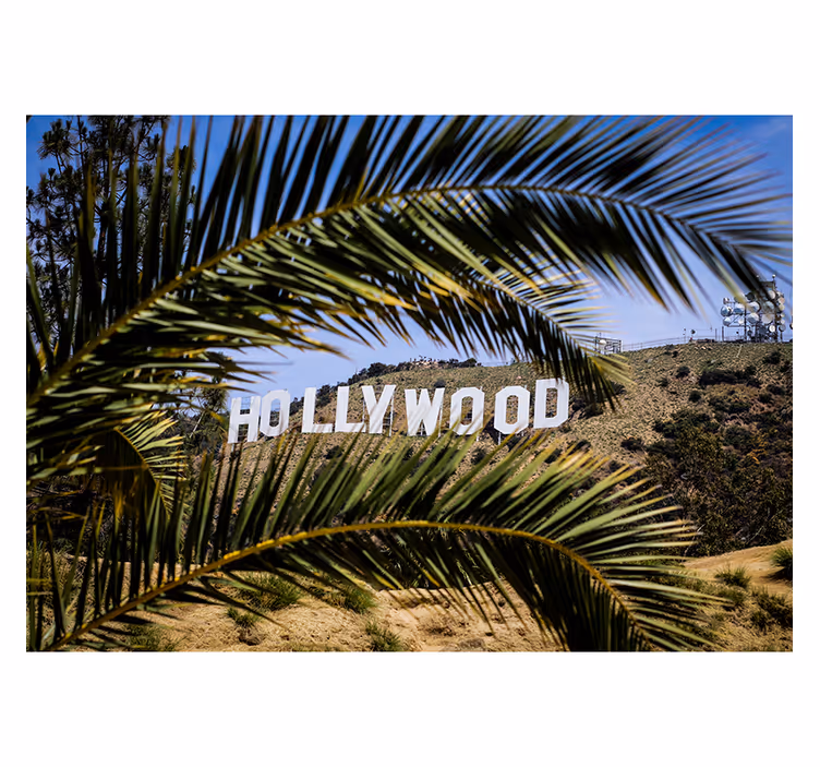 Store enrouleur bureau enseigne hollywood et arbre - TenStickers