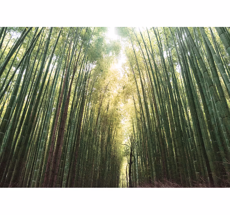 Store enrouleur bureau forêt de bambou zen - TenStickers