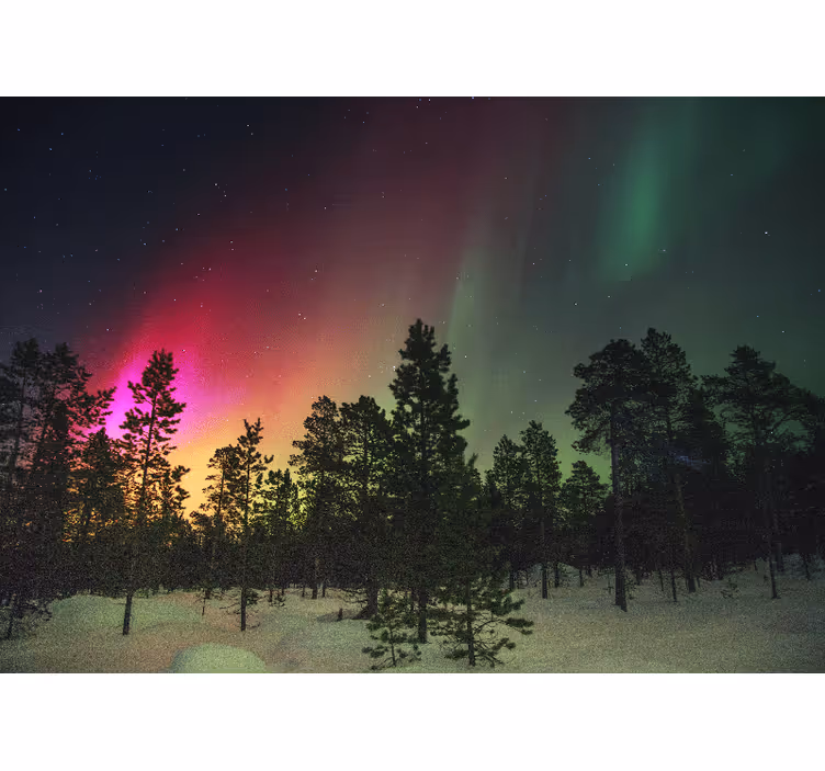 Store enrouleur bureau lumières du nord sur arbres - TenStickers