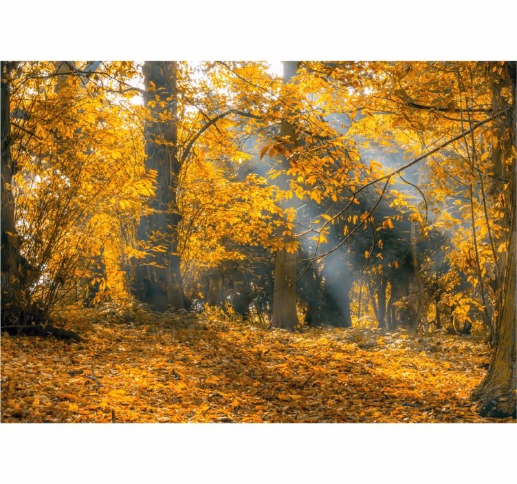 Store enrouleur bureau automne doré - TenStickers