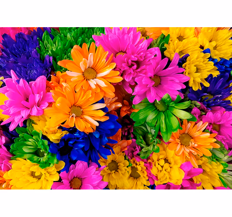 Store enrouleur bureau chrysanthème coloré - TenStickers