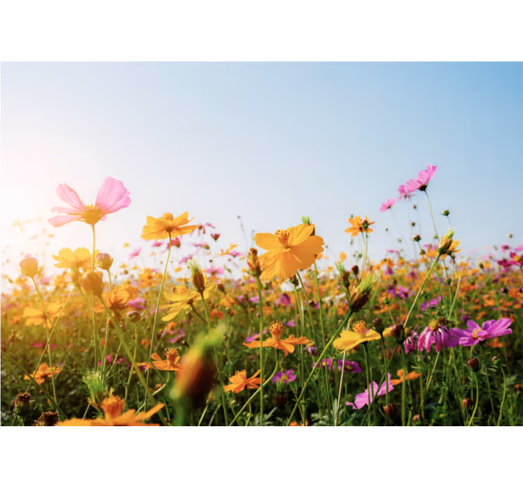 Store enrouleur bureau mélange de fleurs - TenStickers
