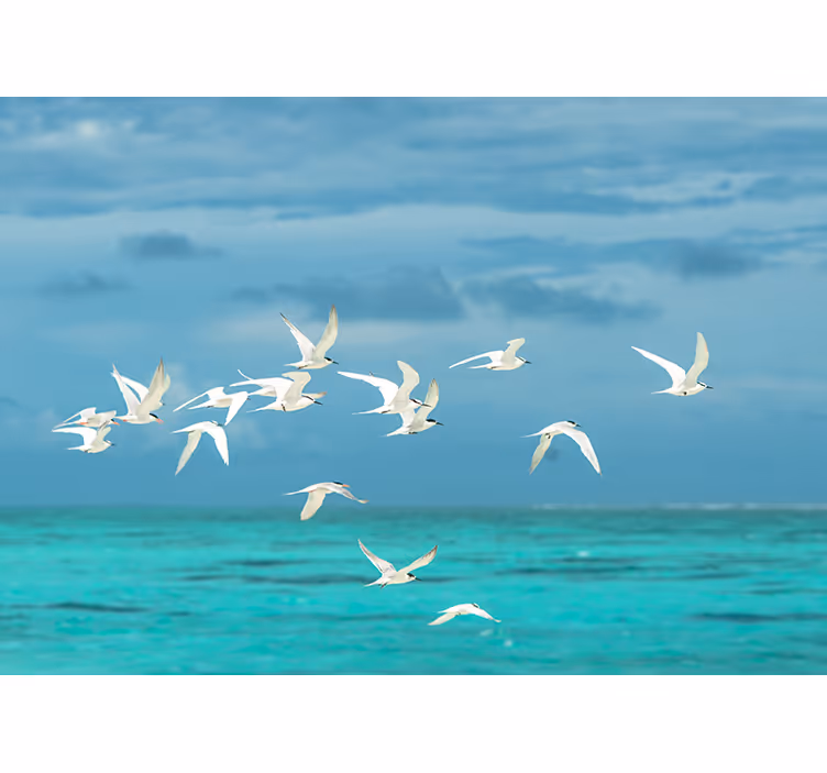 Store enrouleur bureau oiseaux en vol - TenStickers