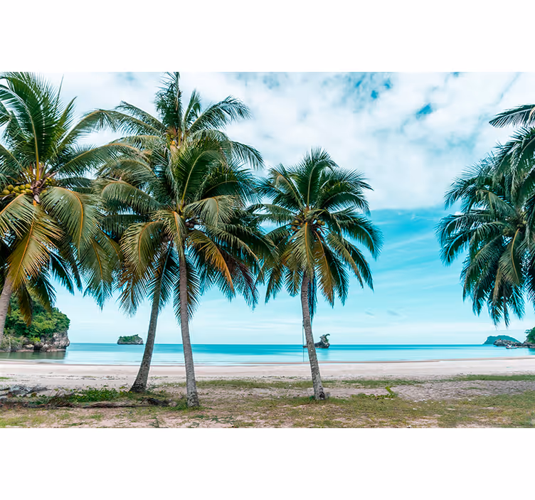 Store enrouleur bureau palmiers sable plage - TenStickers
