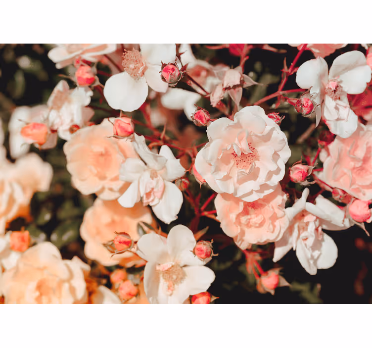 Store enrouleur bureau fleurs en abondance - TenStickers