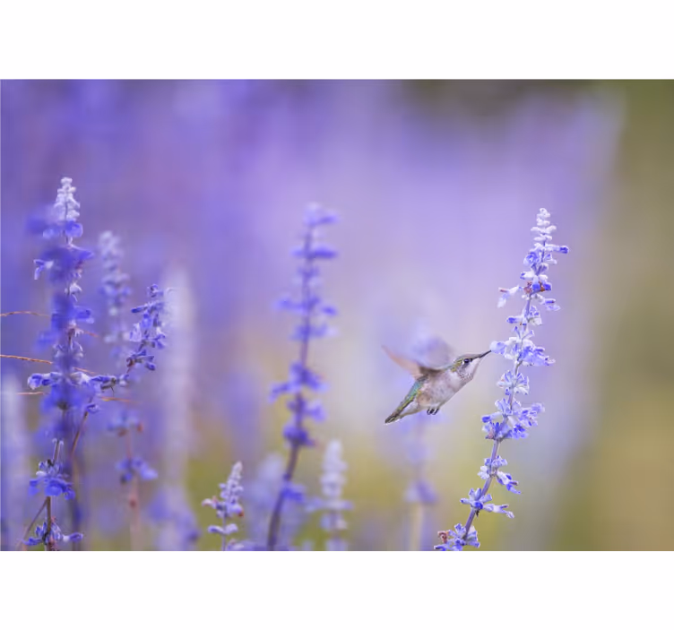 Store enrouleur bureau fleurs avec oiseau - TenStickers
