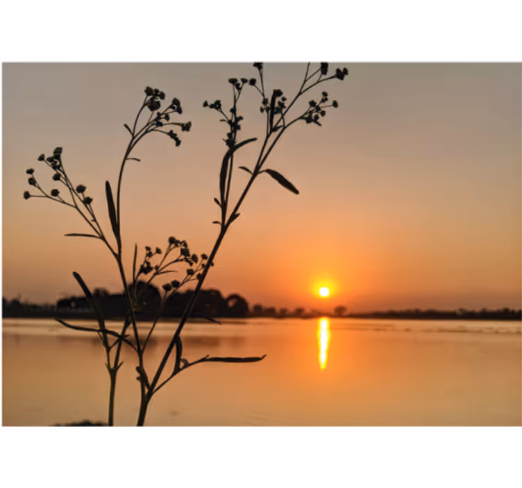 Store enrouleur bureau coucher de soleil sur le lac - TenStickers