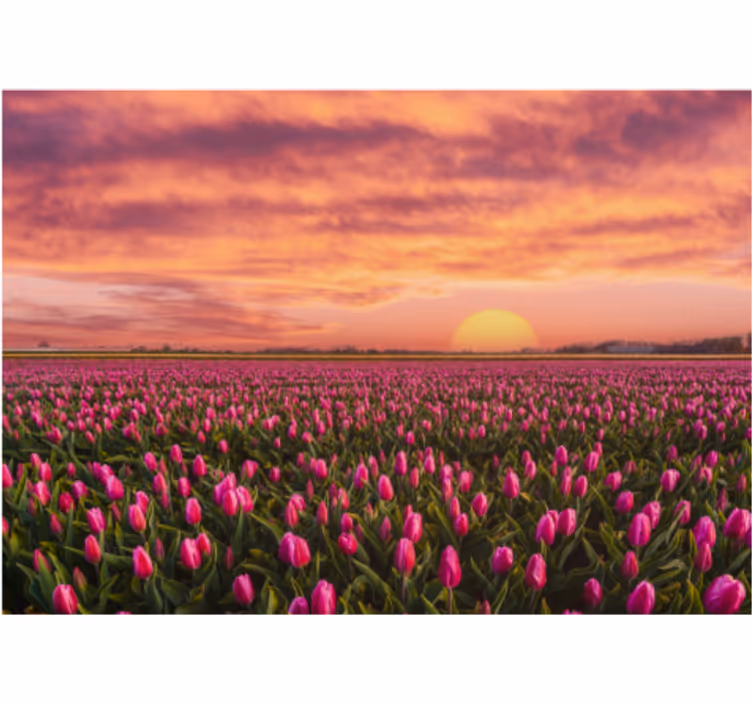 Store enrouleur bureau lever de soleil et tulipes - TenStickers