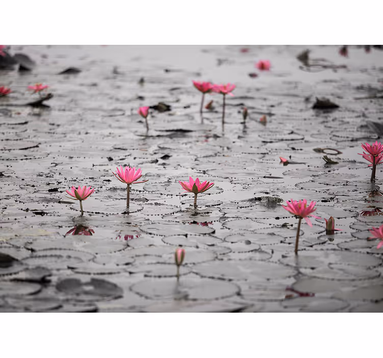 Store enrouleur bureau fleurs de loto en gris - TenStickers