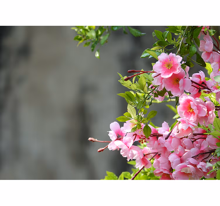 Store enrouleur bureau fleurs roses 3d - TenStickers