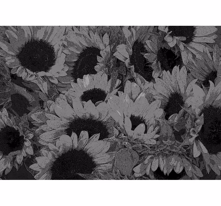 Store enrouleur bureau tournesol noir et blanc - TenStickers