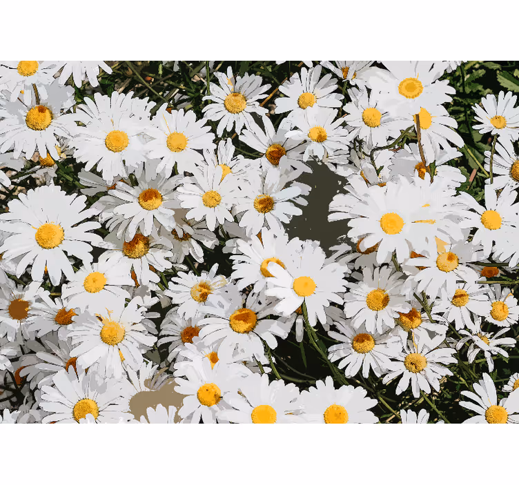 Store enrouleur bureau champ de marguerites peint - TenStickers