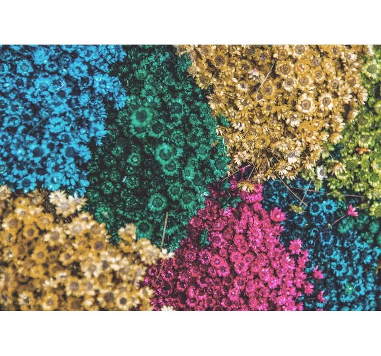 Store enrouleur bureau marguerites arc-en-ciel - TenStickers
