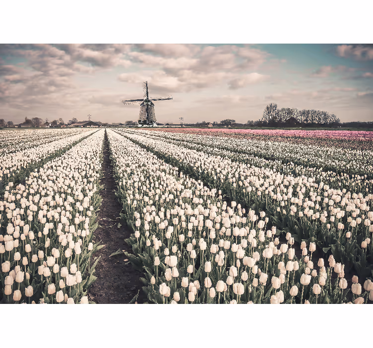 Store enrouleur bureau champ de tulipes et moulin - TenStickers