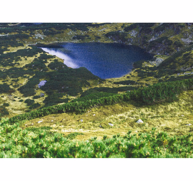 Store enrouleur bureau tatry polonais vert - TenStickers