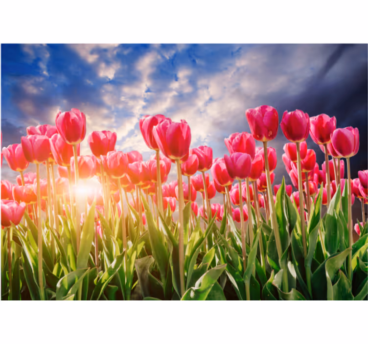 Store enrouleur bureau coucher de soleil fleuri - TenStickers