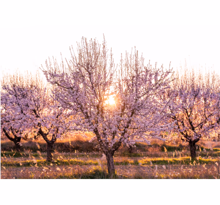 Store enrouleur bureau paysage rose avec fleurs - TenStickers