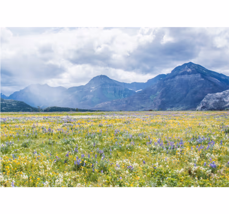 Store enrouleur bureau champ de petites fleurs - TenStickers