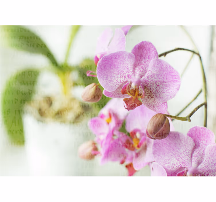 Store enrouleur bureau orchidée avec texte - TenStickers