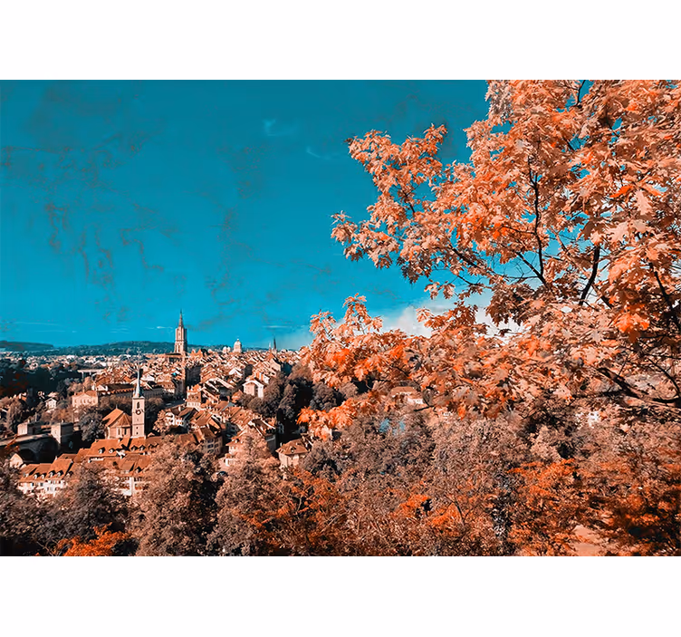 Store enrouleur bureau arbres aux feuilles d'automne - TenStickers