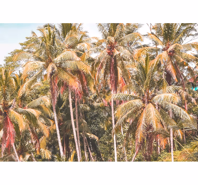 Store enrouleur bureau palmier vert dans la jungle - TenStickers