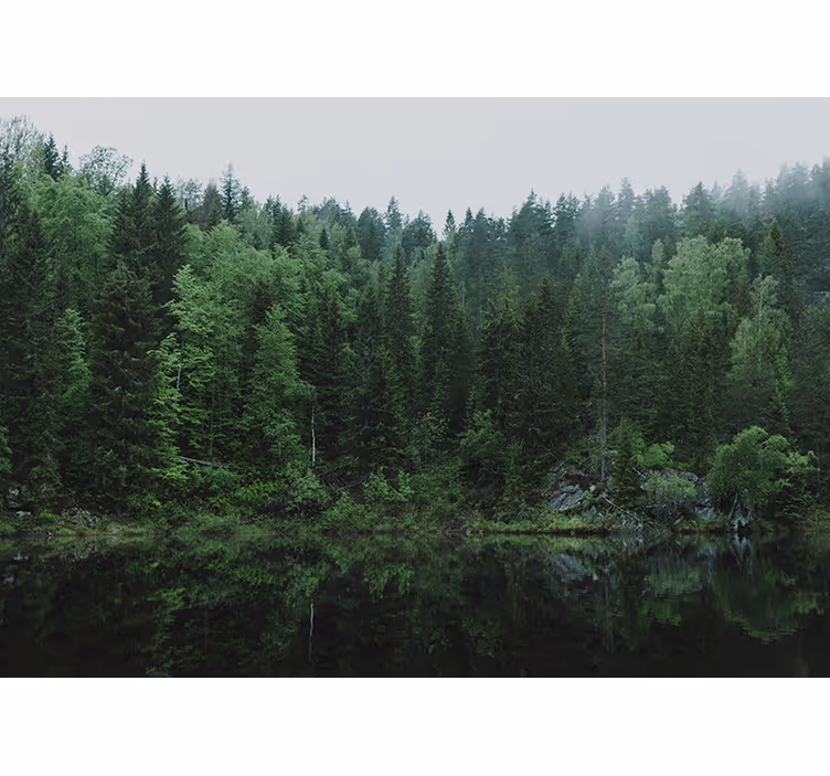Store enrouleur bureau forêt au bord du lac - TenStickers
