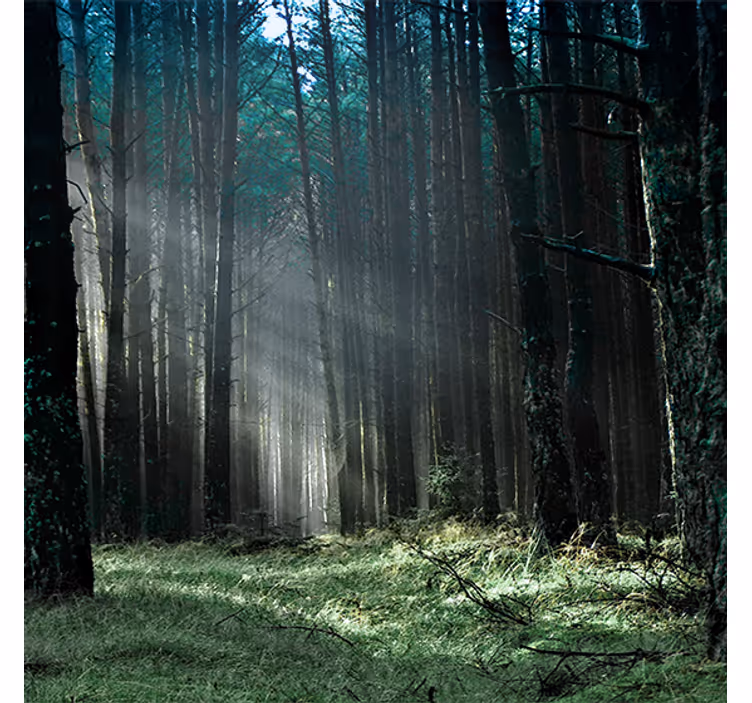 Store enrouleur bureau forêt brumeuse bleue - TenStickers