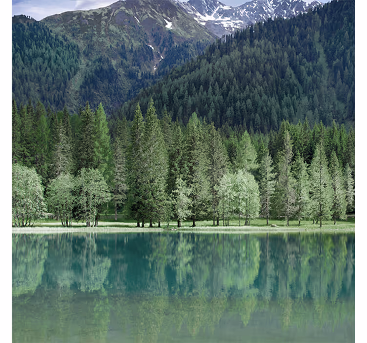 Store enrouleur bureau lac verdoyant magnifique - TenStickers