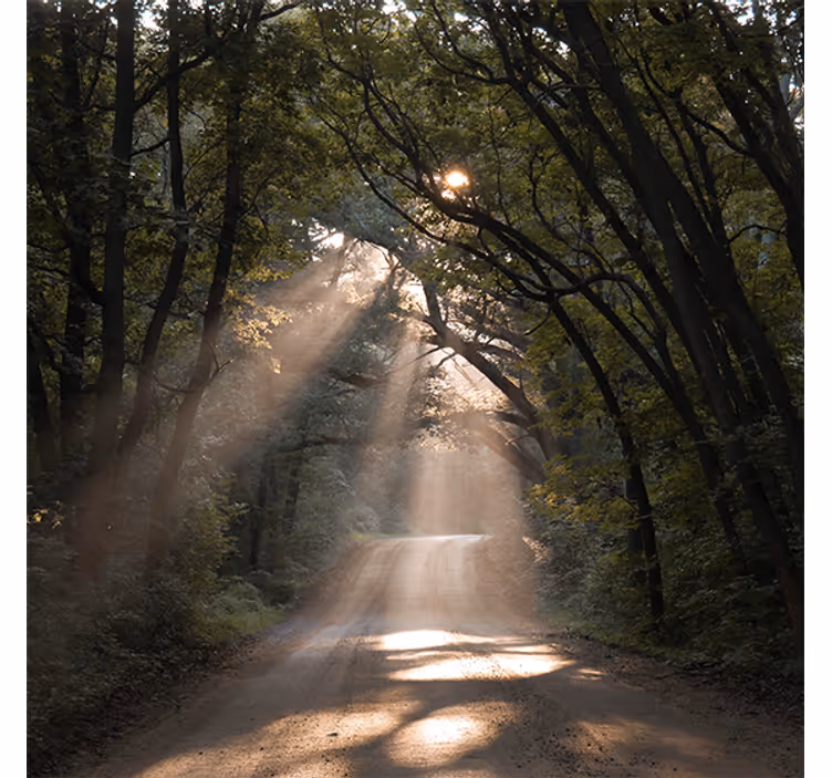 Store enrouleur bureau chemin de terre en forêt - TenStickers