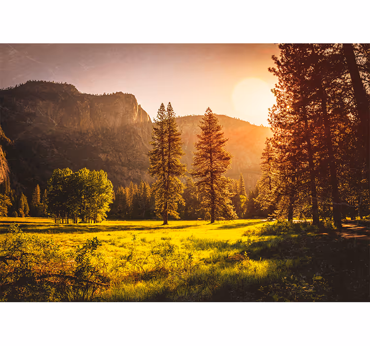 Store enrouleur bureau coucher de soleil derrière les arbres - TenStickers
