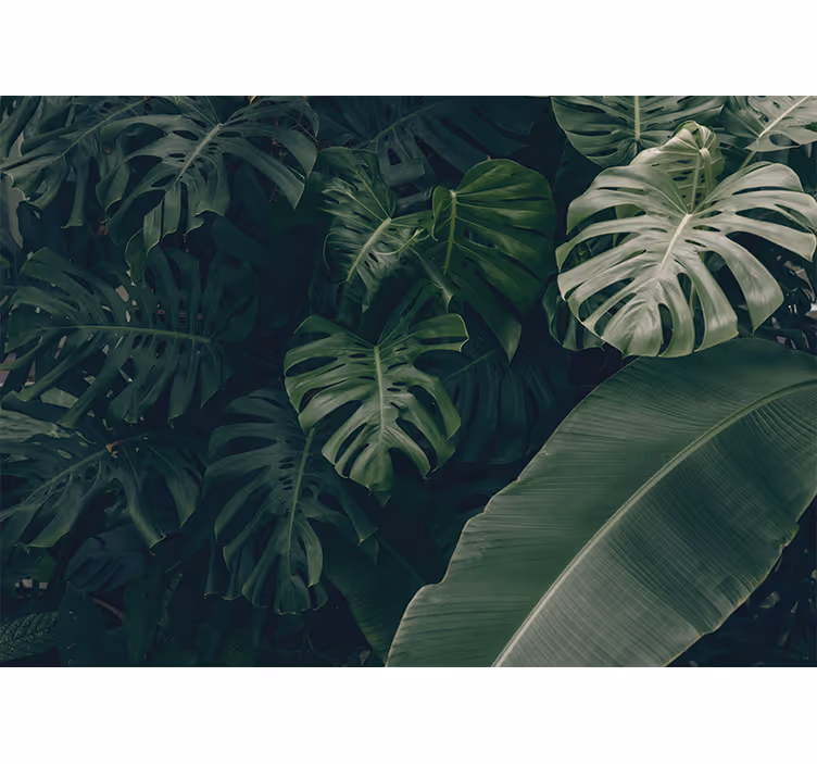Store enrouleur bureau forêt verte magnifique - TenStickers